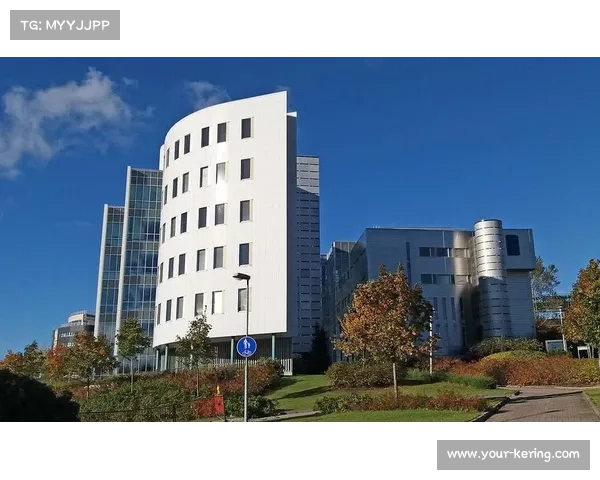 芬兰坦佩雷球场改建引发争议 环保组织抗议木材过度消耗 芬兰坦佩雷球场改建引发争议 环保组织抗议木材过度消耗